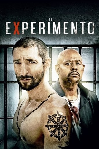 El experimento poster