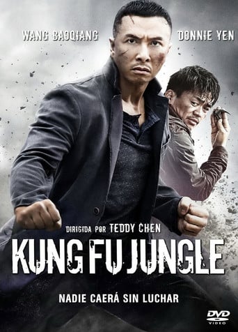 Kung Fu jungle poster