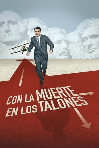 Con la muerte en los talones poster