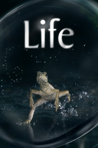 Life poster
