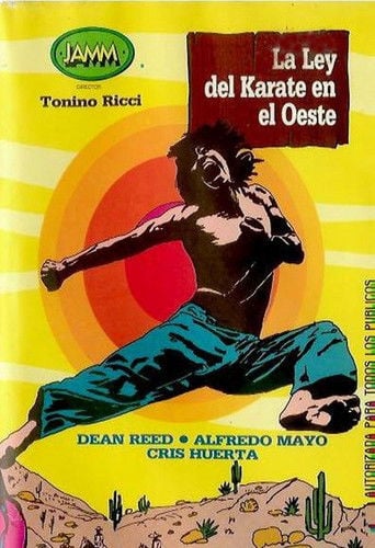 La ley del karate en el Oeste poster