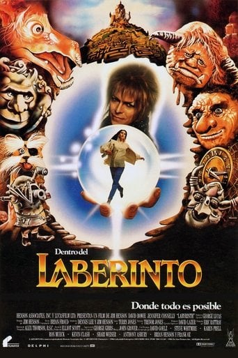 Dentro del laberinto poster