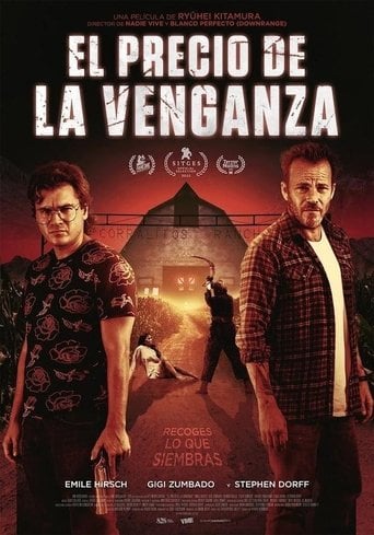 El precio de la venganza poster