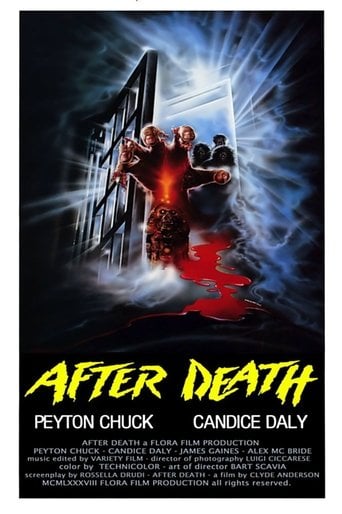 Zombi 4: After Death poster