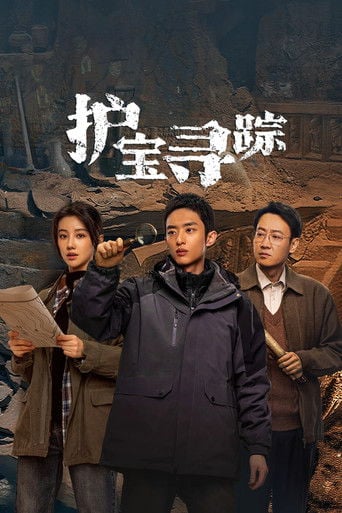 护宝寻踪 poster
