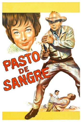 Furia en el valle poster