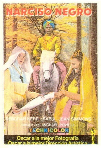 Narciso negro poster