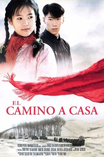 El camino a casa poster