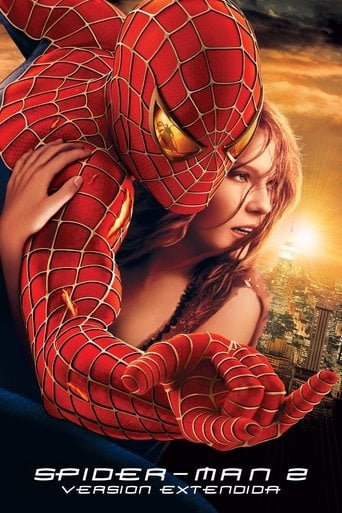 Spider-Man 2 poster
