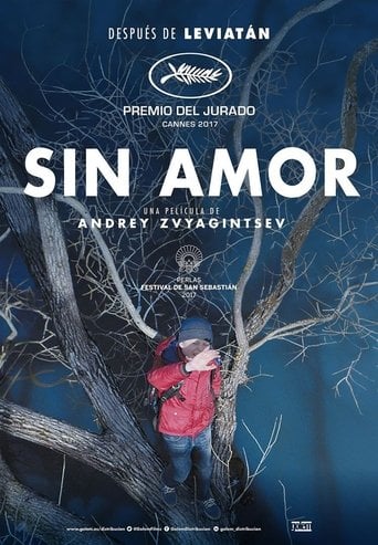 Sin amor poster