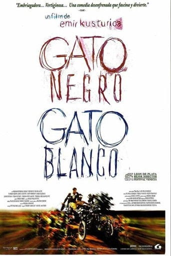 Gato negro, gato blanco poster