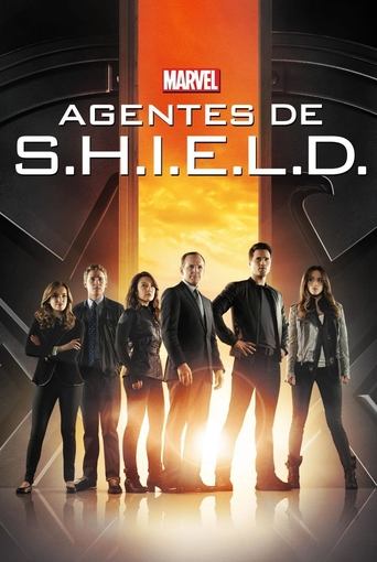 Marvel Agentes de S.H.I.E.L.D. poster