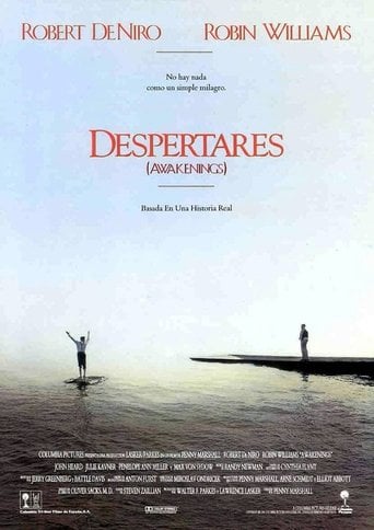 Despertares poster