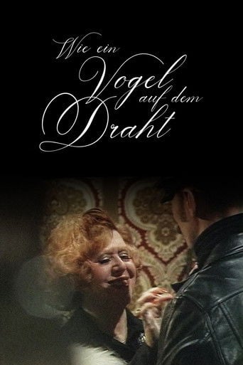 Wie ein Vogel auf dem Draht poster