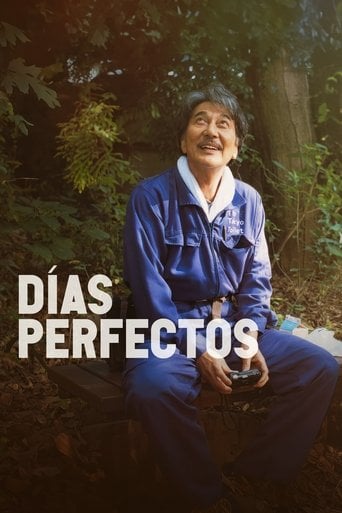 Días Perfectos poster