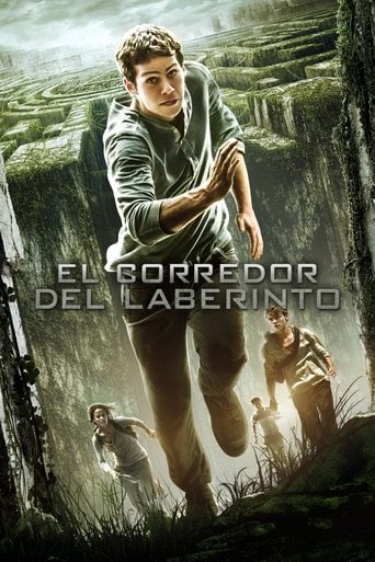 El corredor del laberinto poster