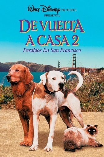 De vuelta a casa 2: Perdidos en San Francisco poster