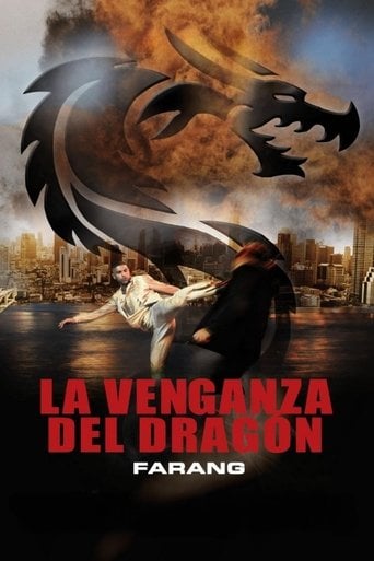 La venganza del dragón poster