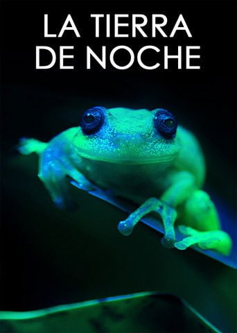 La Tierra de noche poster
