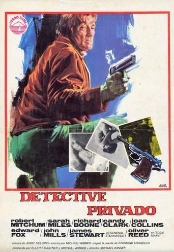 Detective privado poster