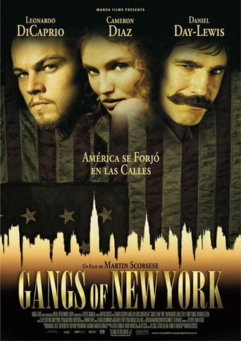 Gangs of New York poster