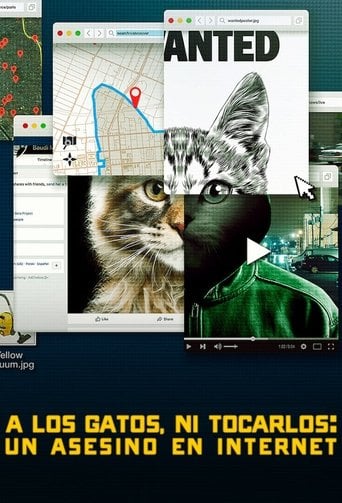 A los gatos ni tocarlos: Un asesino en Internet poster