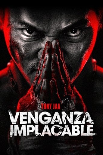 Venganza implacable poster