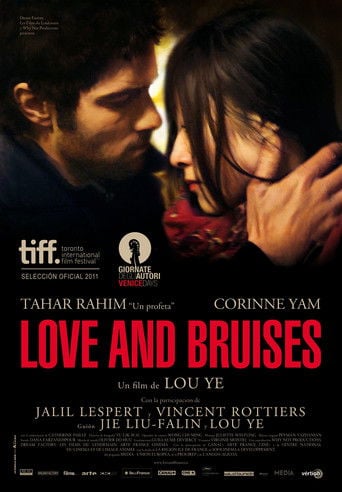 Love and Bruises poster