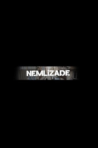 Nemlizade poster