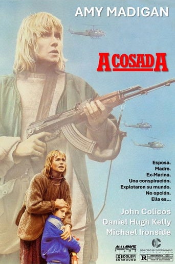 La mujer de hierro poster