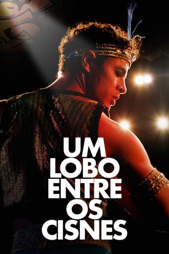 Um Lobo entre os Cisnes poster