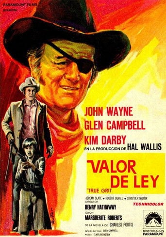 Valor de ley poster