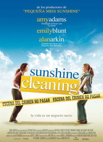 Sunshine Cleaning poster