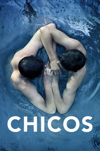 Chicos poster