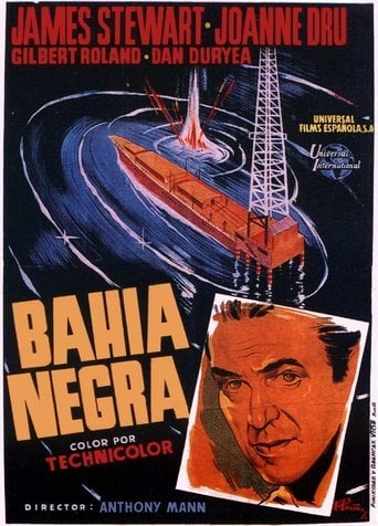 Bahía negra poster