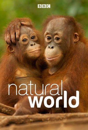 Mundo Natural poster