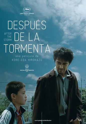 Después De La Tormenta poster