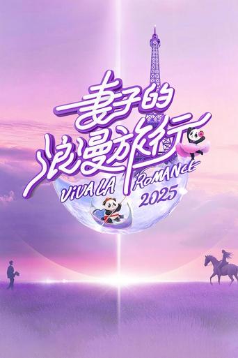 妻子的浪漫旅行 poster