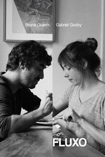 Fluxo poster