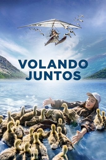 Volando juntos poster