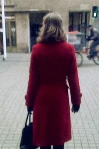 Nie patrz wstecz poster