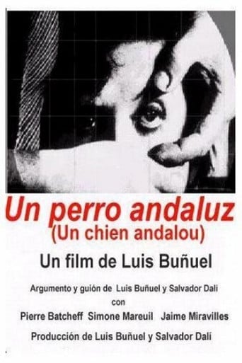 Un perro andaluz poster