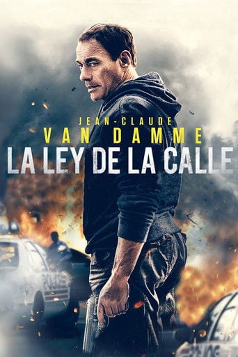 La ley de la calle poster