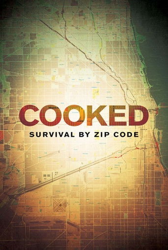 Cooked: Survival by Zip Code poster