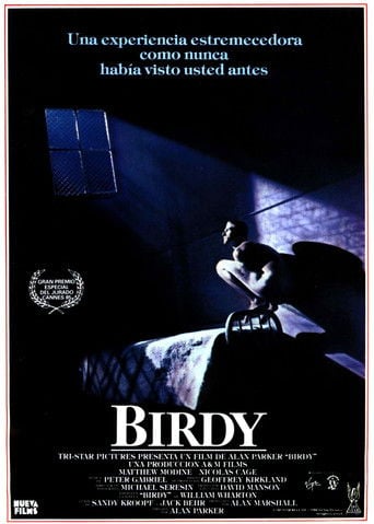 Birdy poster