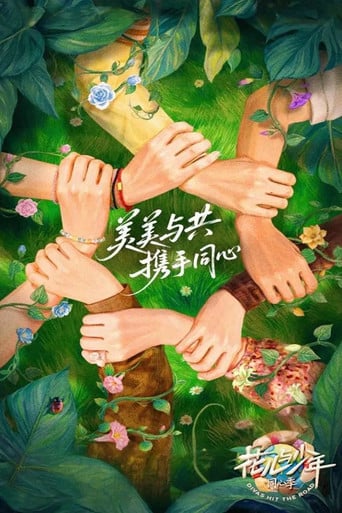 花儿与少年 poster