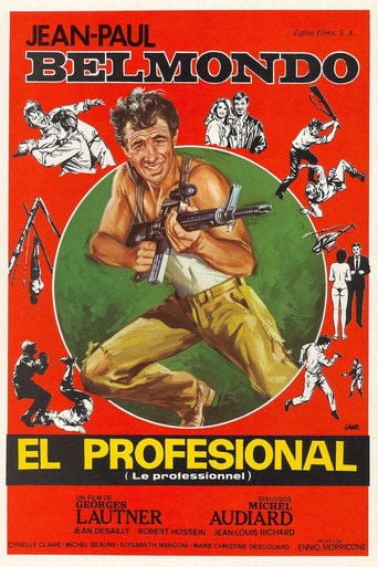 El profesional poster