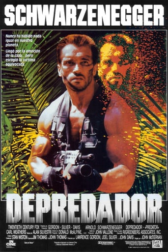 Depredador poster