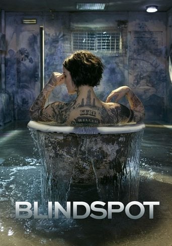 Blindspot poster