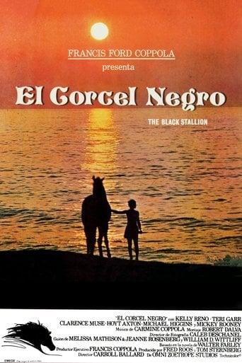 El corcel negro poster